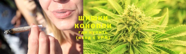 эйфоретик Ельня