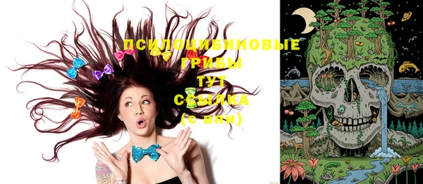 эйфоретик Ельня