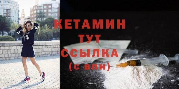 сатива Жердевка