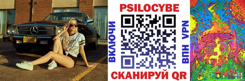 Галлюциногенные грибы Psilocybe  Куса 