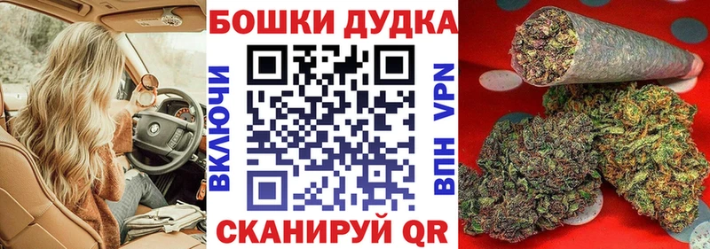 Бошки Шишки план  где купить   Куса 